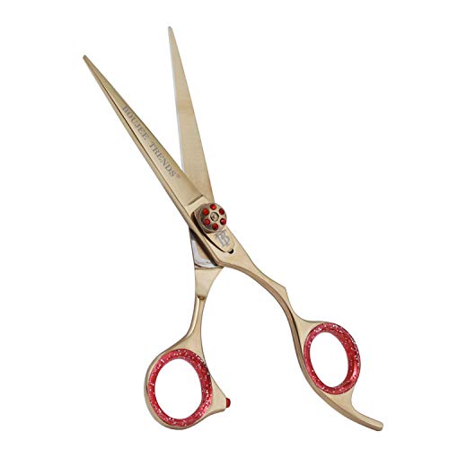 Professional Razor Edge Shears Barber Hair Cutting Scissors Japanese Stainless Steel 6.5" Standard Size Hairdressing Salon Scissors with Adjustable Tension Screw - HAB