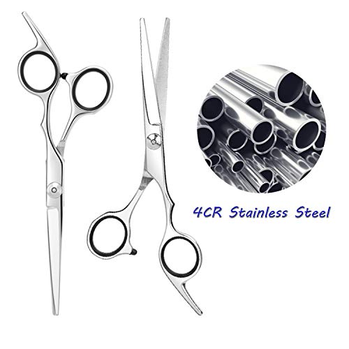 ESSOY Professional Hair Cutting Scissors/Shears (6.5-Inches), 4CR Stainless Steel Haircut Scissor with Fine Adjustment Screw for Home Salon,Barber Hairdressing Scissor for Women Men Kids - HAB