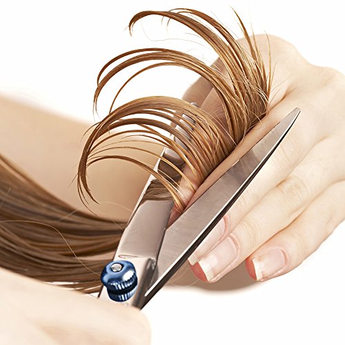 Professional Hair Cutting Scissors Barber Shears Set with Storage Case (Rose Gold) - HAB