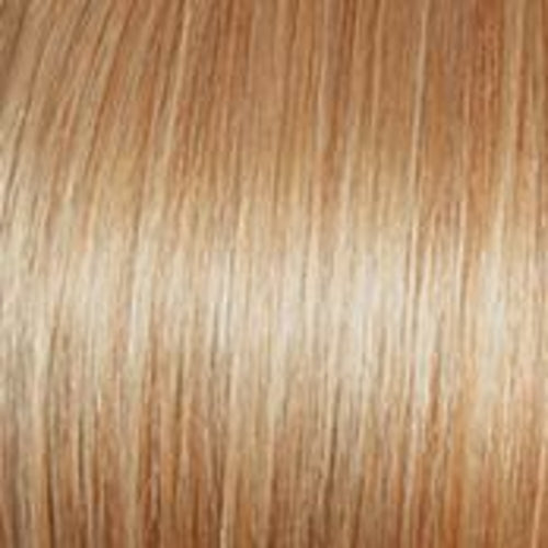 BOOST Wig by Raquel Welch - HAB