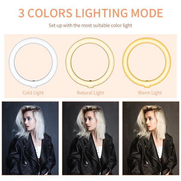 10-inch Ring Light with PTZ Clip Floor Lamp Stand Set - HAB