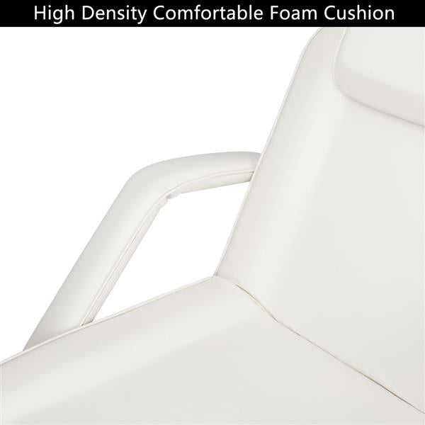 HZ015 Beauty Salon Chair Salon Chair Barber Dual-purpose Barber Chair Without Small Stool White - HAB
