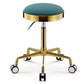Stainless Steel Brushed Lifting Stool Explosion-proof Stool Barber Chair Bench Hairdressing Salon Rotating Stool Master Chair - HAB 