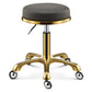 Stainless Steel Brushed Lifting Stool Explosion-proof Stool Barber Chair Bench Hairdressing Salon Rotating Stool Master Chair - HAB 