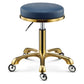 Stainless Steel Brushed Lifting Stool Explosion-proof Stool Barber Chair Bench Hairdressing Salon Rotating Stool Master Chair - HAB 