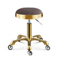 Stainless Steel Brushed Lifting Stool Explosion-proof Stool Barber Chair Bench Hairdressing Salon Rotating Stool Master Chair - HAB 